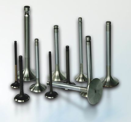 OEM Standrad Intake Exhaust Valves Cummins 6BT Exhaust Engine Valve