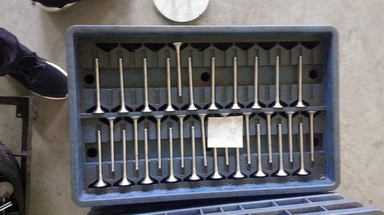 ISF3.8 Intake And Exhaust Valves With 150 Psi Pressure Rating